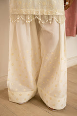 M25SPC69(Embroidred Co Ords)