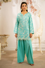 M25SPC75(Embroidred Co Ords)