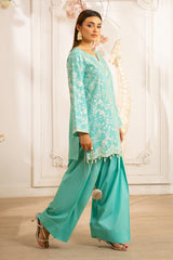 M25SPC75(Embroidred Co Ords)