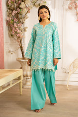 M25SPC75(Embroidred Co Ords)