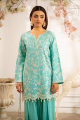 M25SPC75(Embroidred Co Ords)