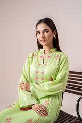 Embroidered Frock