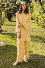 Summer(Embroidered Shirt & Trouser)