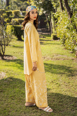 Summer(Embroidered Shirt & Trouser)
