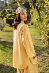 Summer(Embroidered Shirt & Trouser)