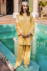 Summer(Embroidered Shirt & Trouser)