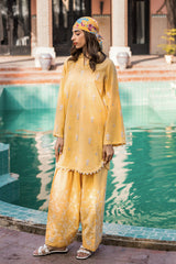 Summer(Embroidered Shirt & Trouser)