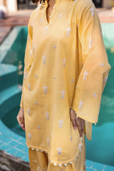 Summer(Embroidered Shirt & Trouser)